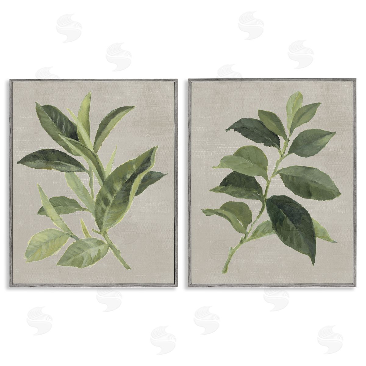 Green Tea & Coffee Plant Leaves Grey Frame Print Wall Art, Home Decor by Lanie Loreth