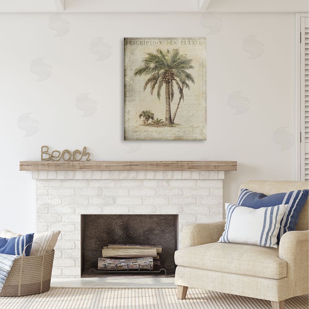 Andrea Haase Vintage Palm Tree Study Canvas Wall Art Print in Room