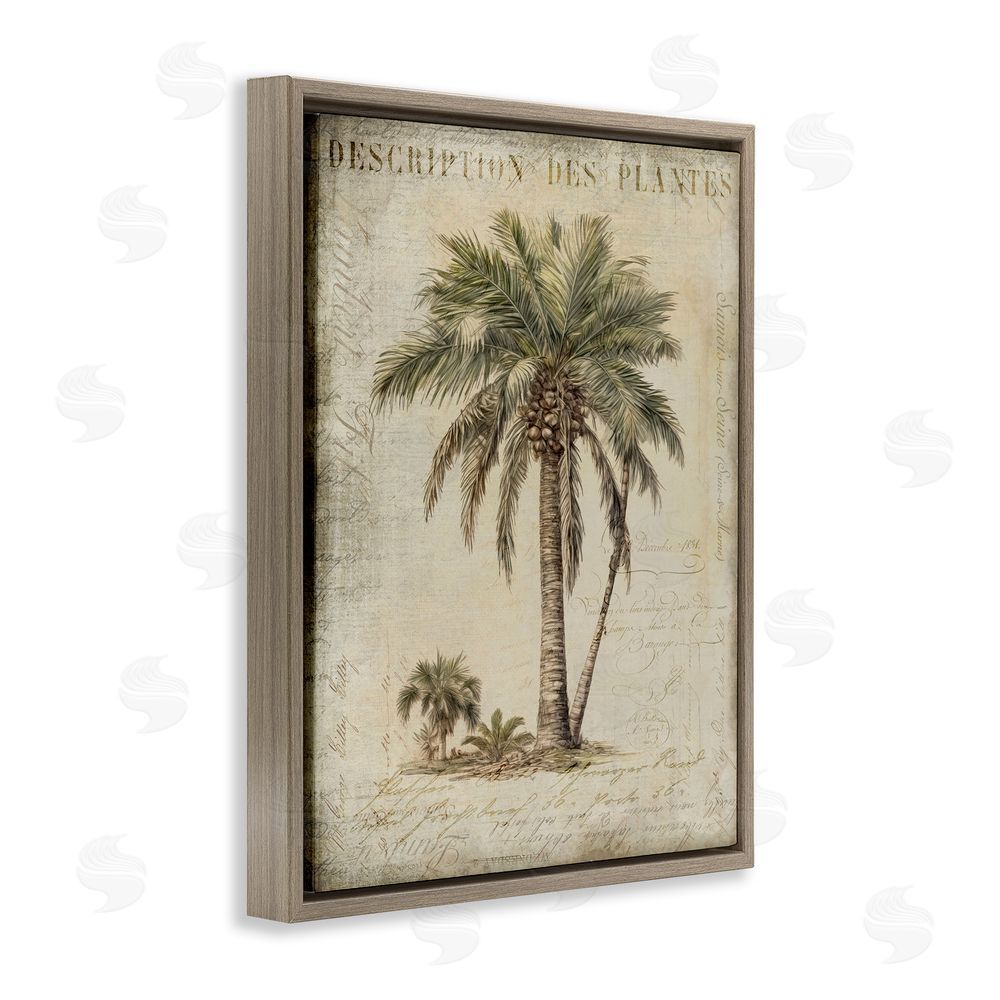 Andrea Haase Vintage Palm Tree Study Brown Floating Frame Canvas Wall Art Print
