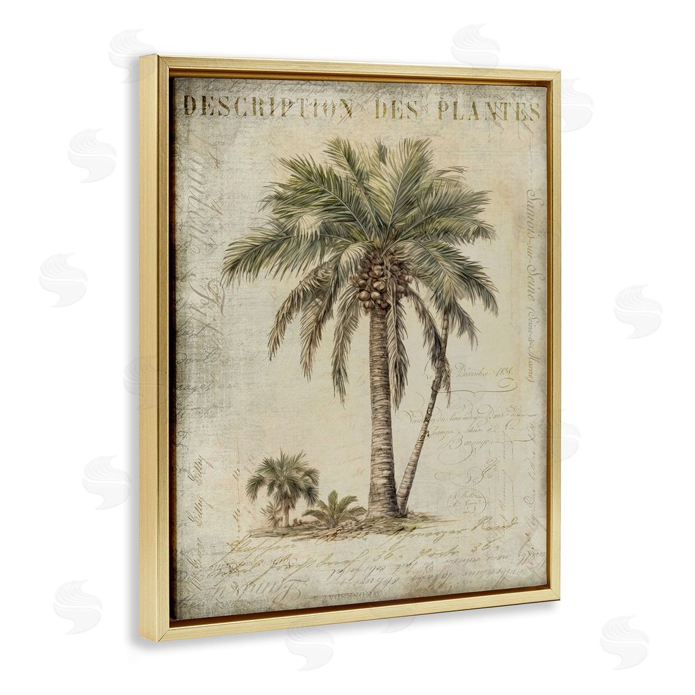 Andrea Haase Vintage Palm Tree Study Gold Floating Frame Canvas Wall Art Print