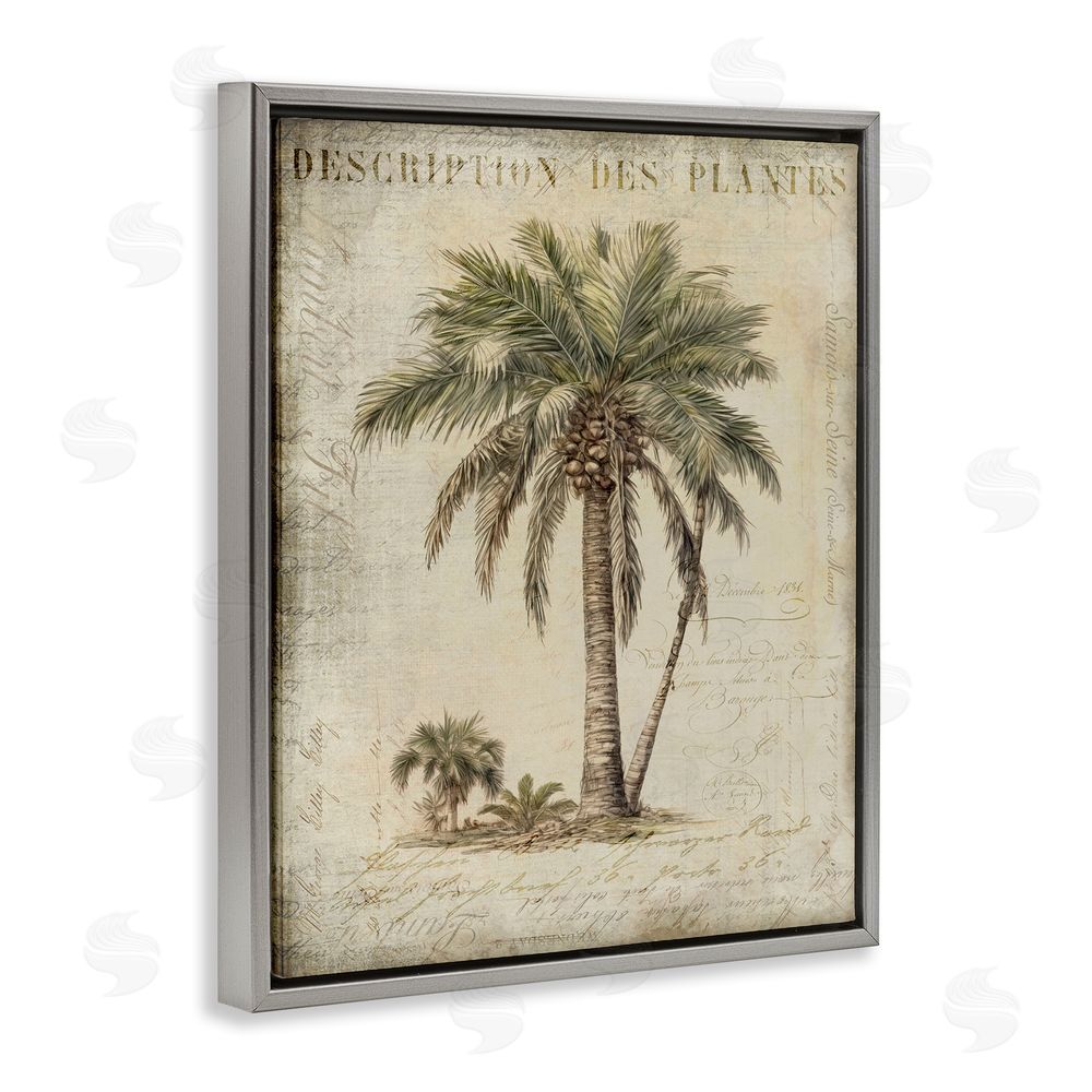 Andrea Haase Vintage Palm Tree Study Gray Floating Frame Canvas Wall Art Print