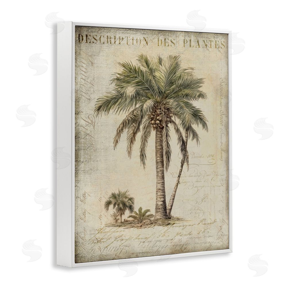 Andrea Haase Vintage Palm Tree Study White Framed Giclee Wall Art Print