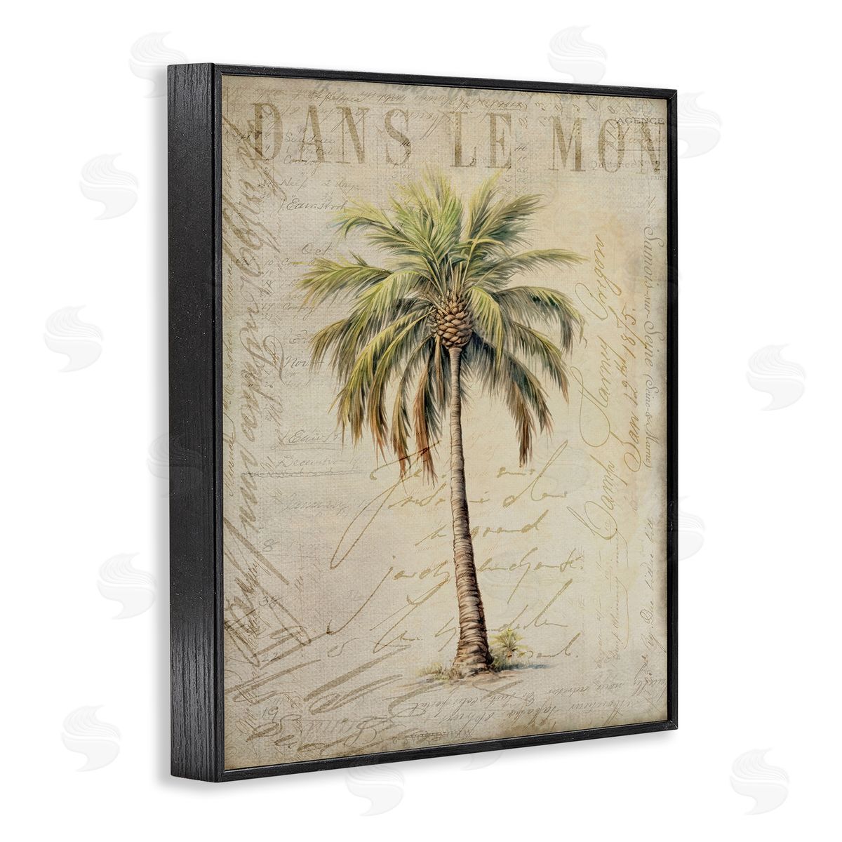 Andrea Haase Vintage Palm Tree Black Framed Giclee Wall Artside_