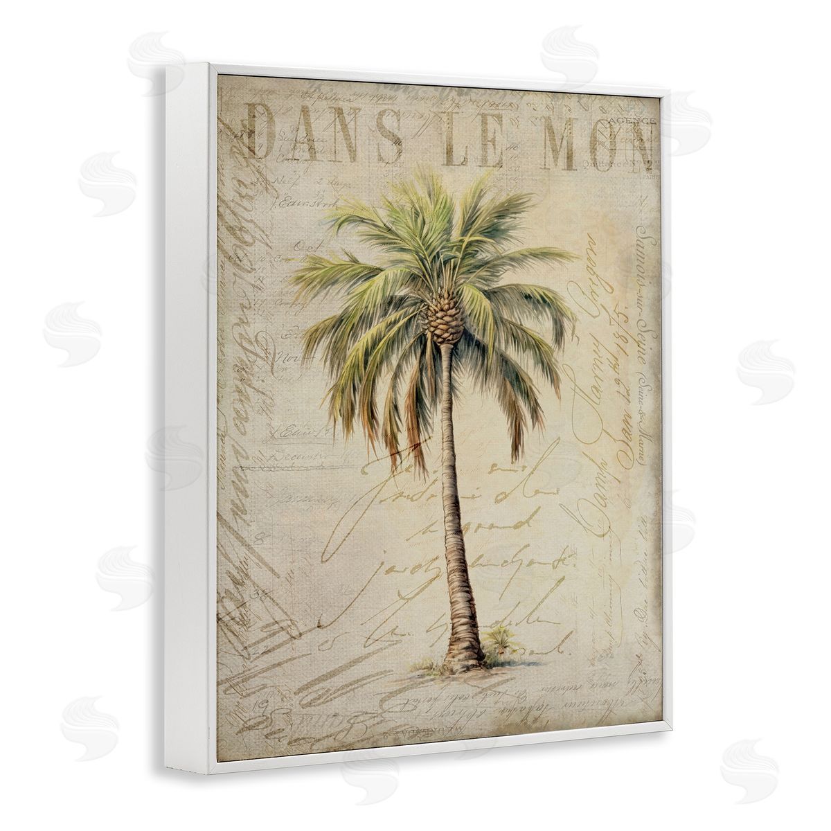 Andrea Haase Vintage Palm Tree White Framed Giclee Wall Artside_