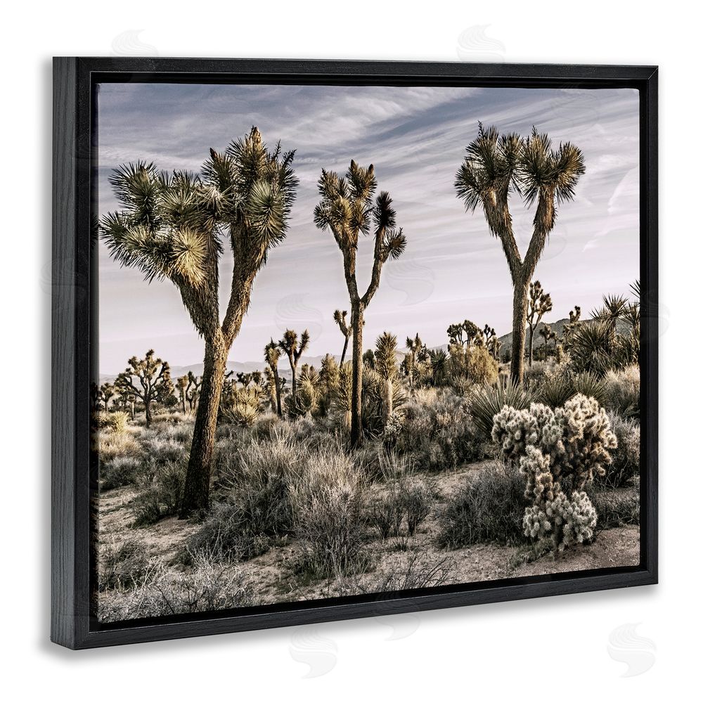Rachel Perry Desert Cacti Vegetation Black Floating Frame Canvas Wall Art Print