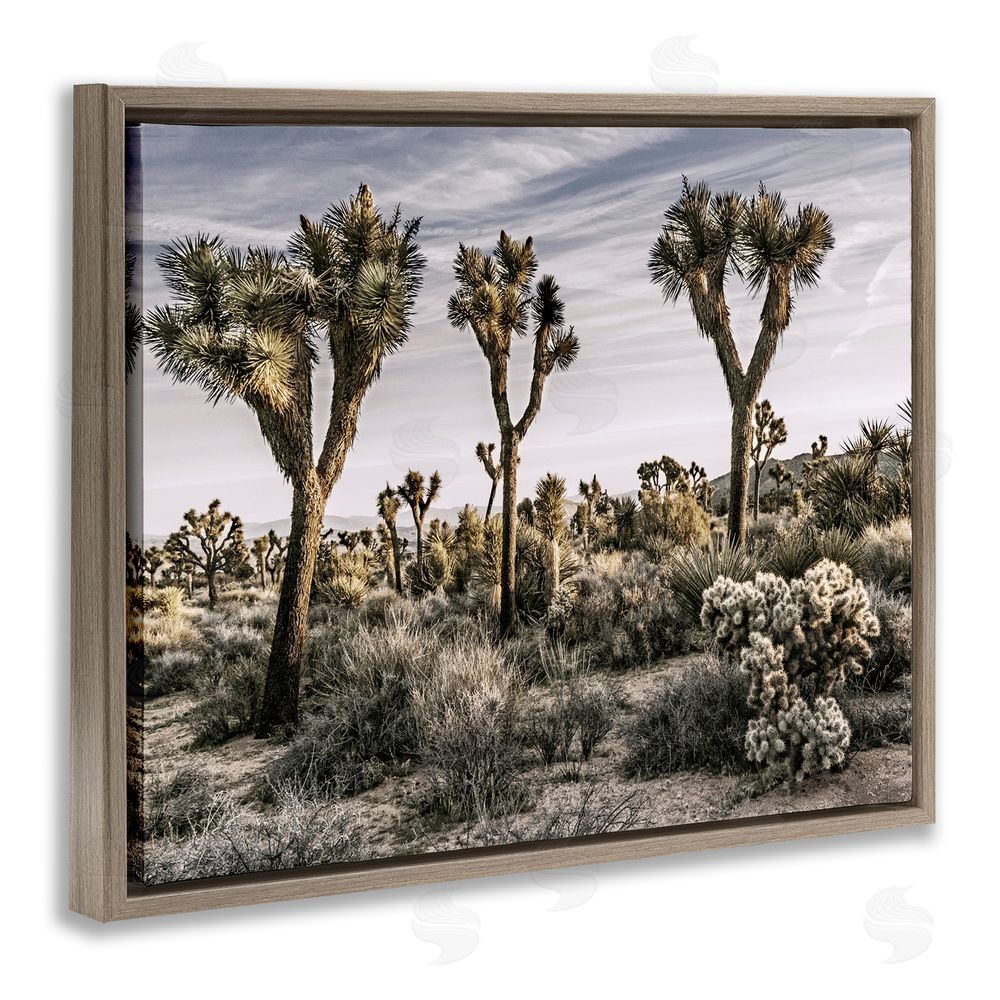 Rachel Perry Desert Cacti Vegetation Brown Floating Frame Canvas Wall Art Print
