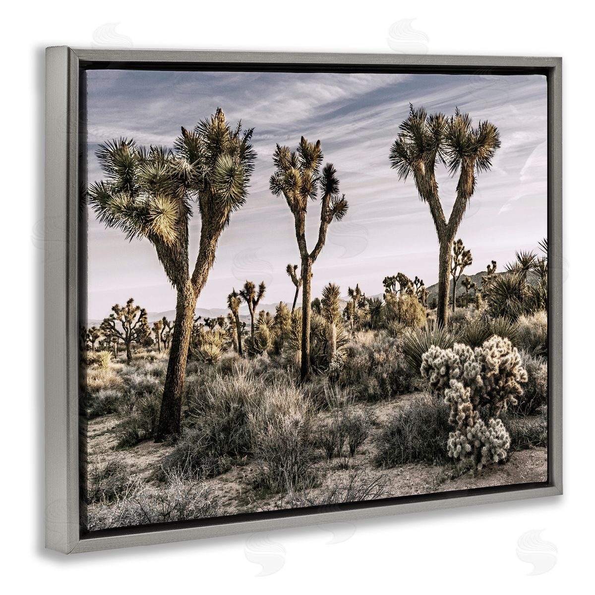 Desert Cacti Vegetation Grey Floating Frame Canvas Wall Art, Home Decor by Rachel Perry