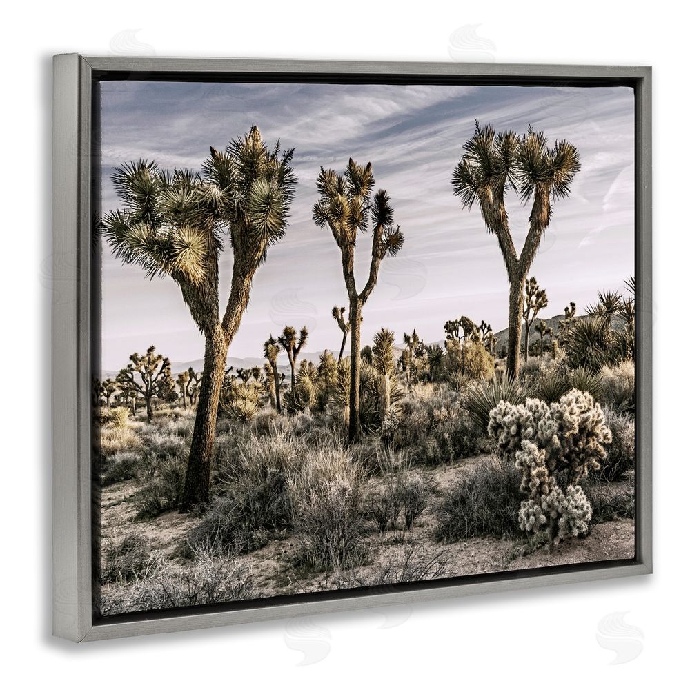 Rachel Perry Desert Cacti Vegetation Grey Floating Frame Canvas Wall Art Print