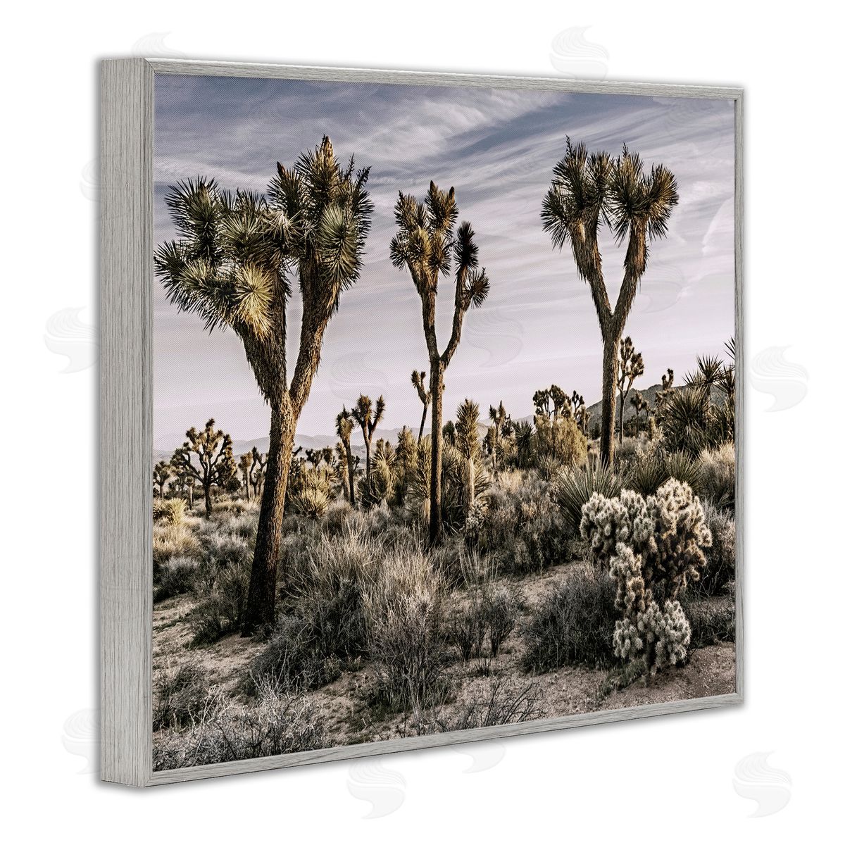 Desert Cacti Vegetation Grey Frame Print Wall Art, Home Decor by Rachel Perry