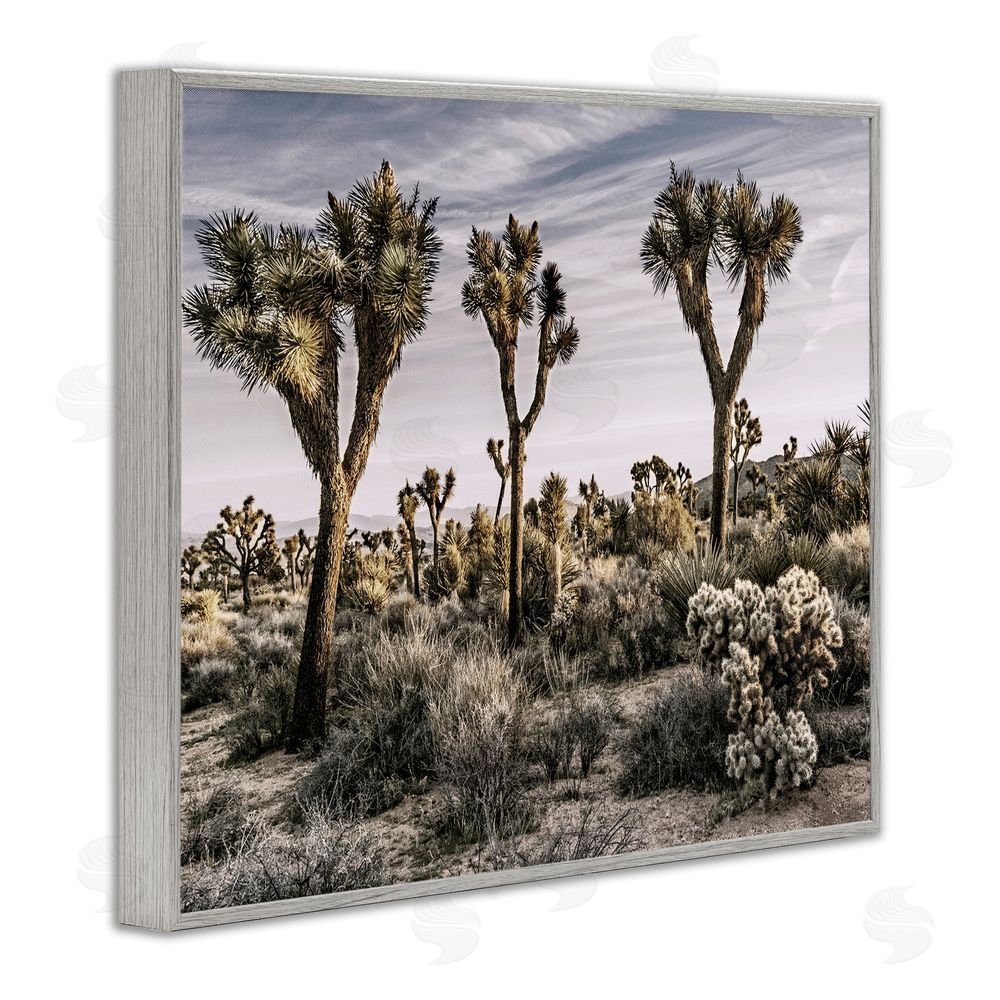 Rachel Perry Desert Cacti Vegetation Gray Framed Giclee Wall Art Print