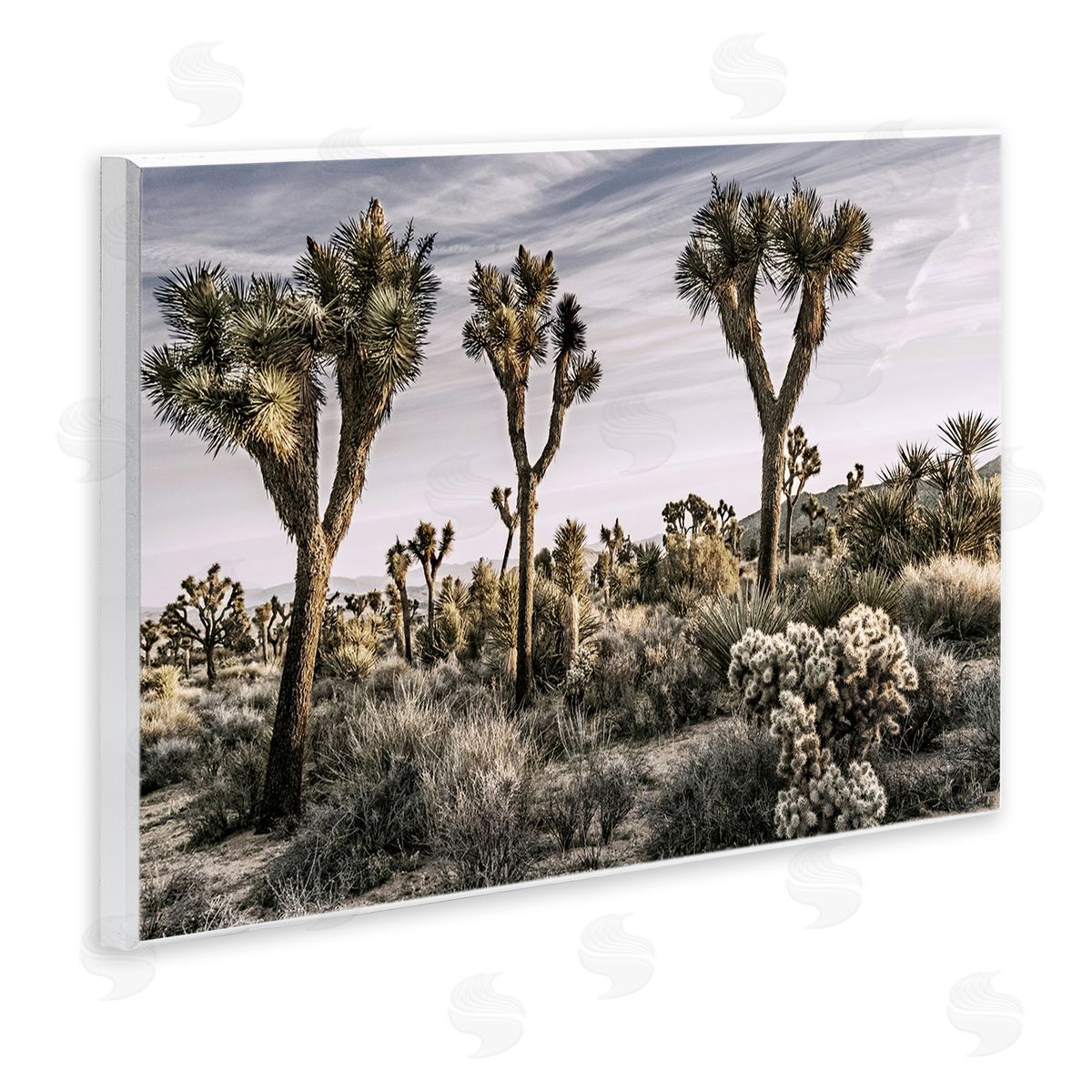 Desert Cacti Vegetation Wood Plaque Wall Art, Home Decor by Rachel Perry