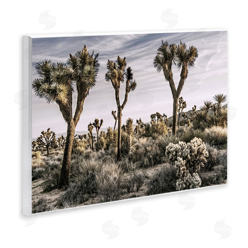Rachel Perry Desert Cacti Vegetation Wall Plaque Art Print