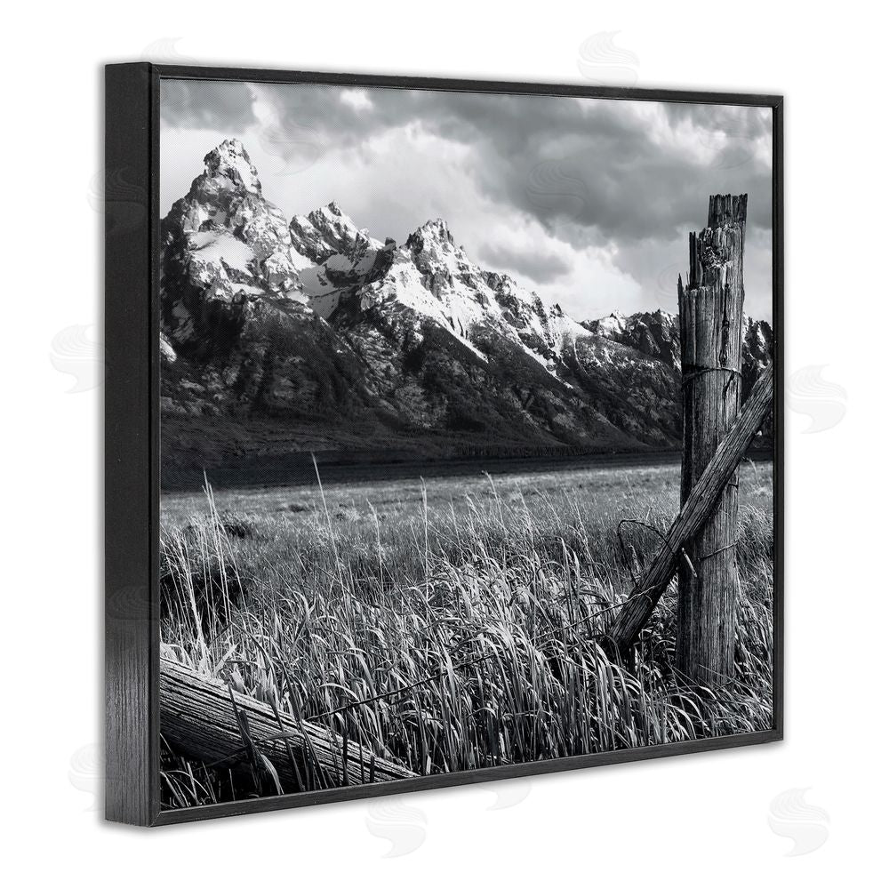 Steve Toole Grassland Fence Photography Black Framed Giclee Wall Art Print