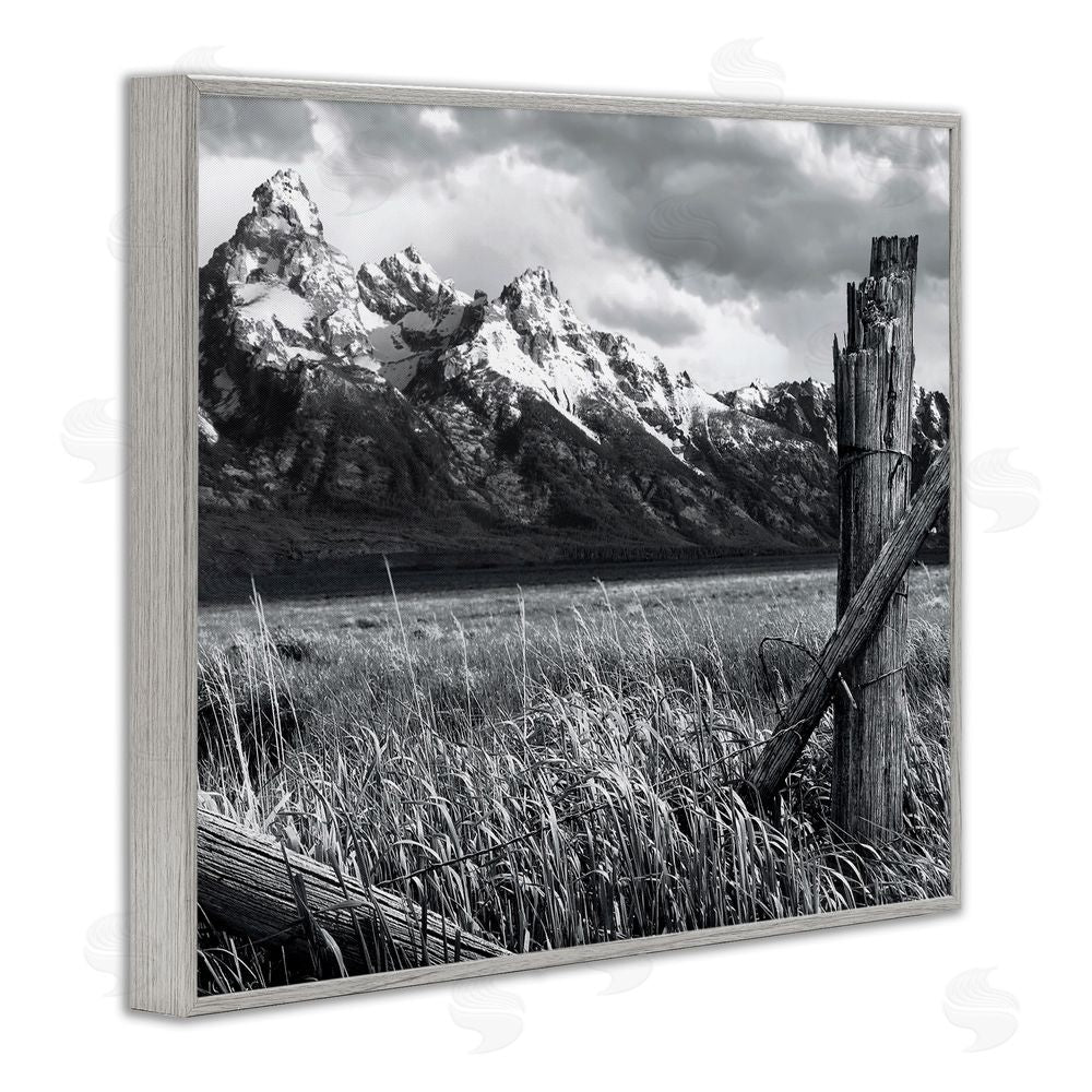 Steve Toole Grassland Fence Photography Gray Framed Giclee Wall Art Print
