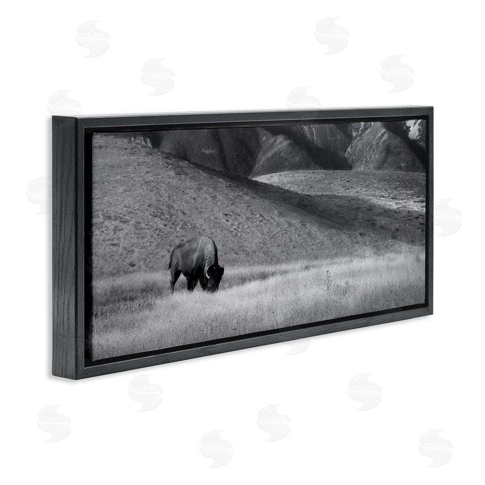 Steve Toole Bison with Mountain Peaks Black Floating Frame Canvas Wall Art Print
