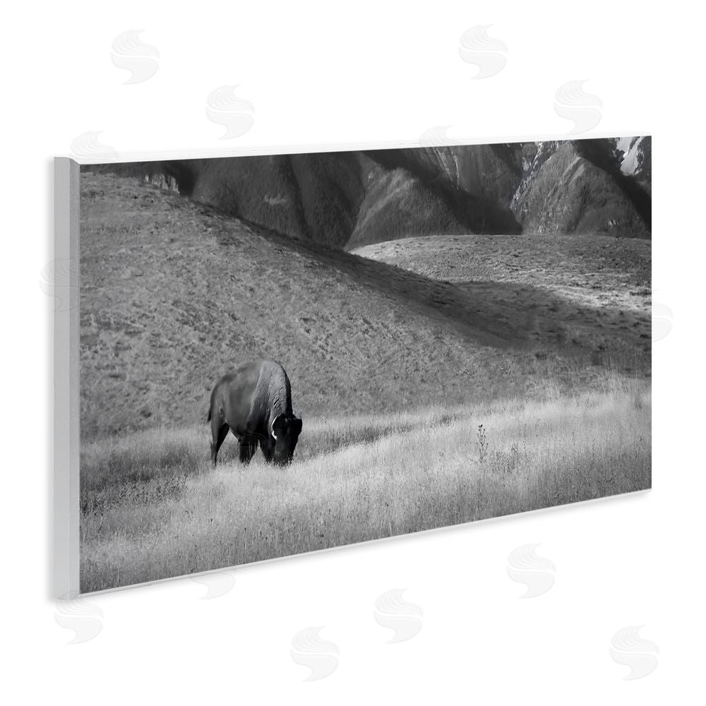 Steve Toole Bison with Mountain Peaks Wooden Wall Plaque Art Print
