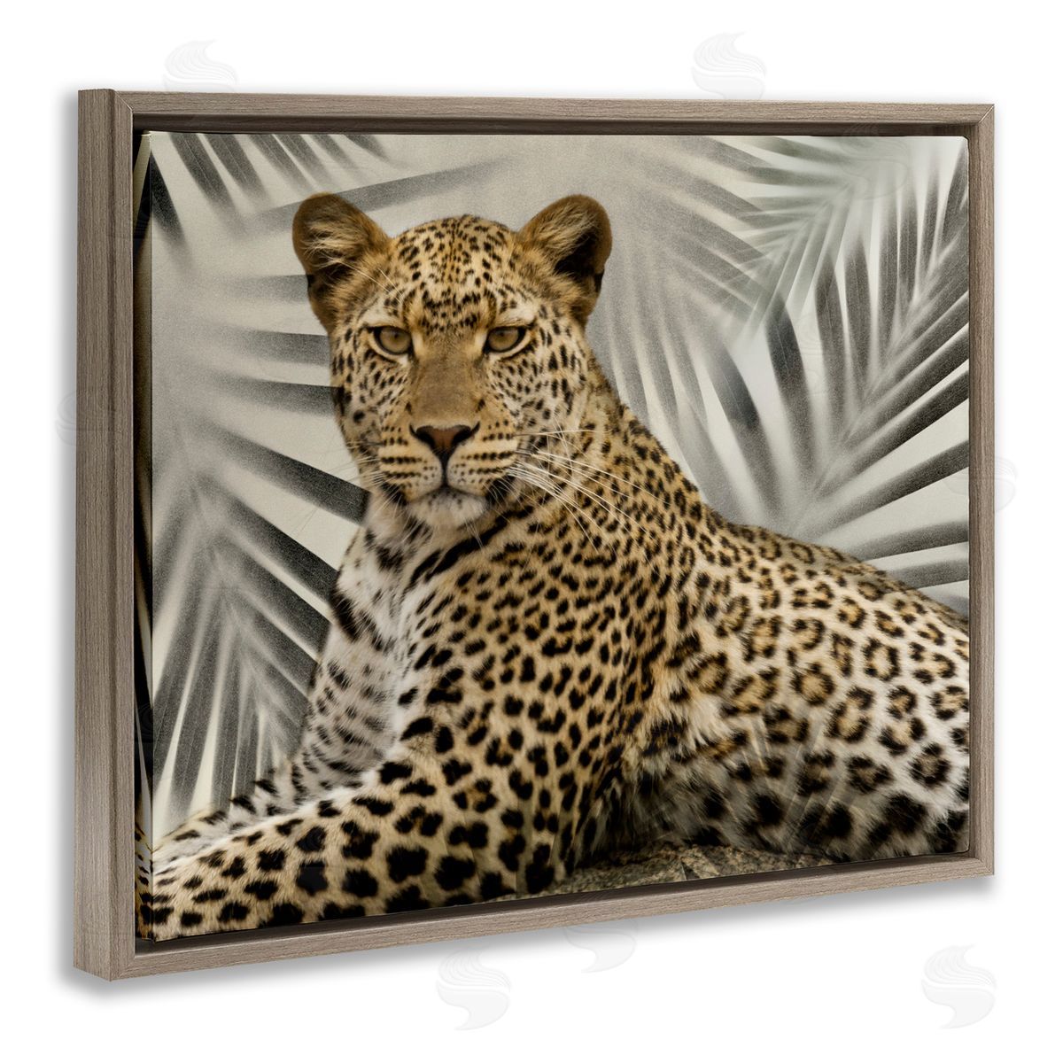 Leopard with Palm Fronds Brown Floating Frame Canvas Wall Art, Home Decor by Danita Delimont