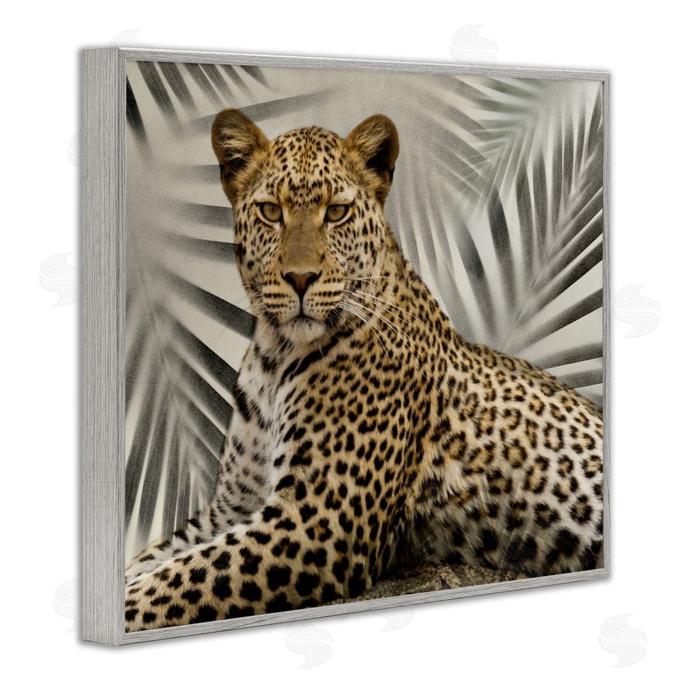 Danita Delimont Leopard with Palm Fronds Gray Framed Giclee Wall Art Print