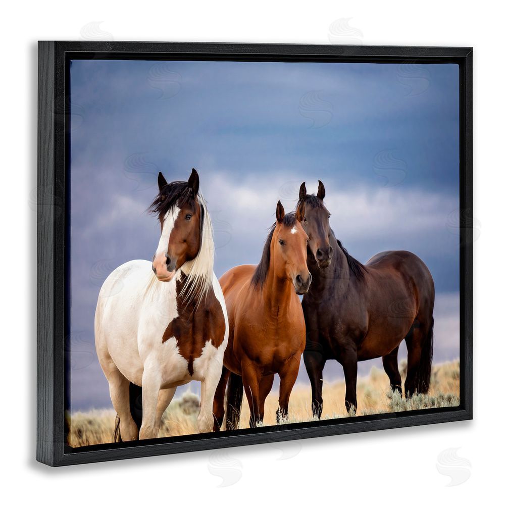 PH Burchett Horse Trio Under Clouds Black Floating Frame Canvas Wall Art Print