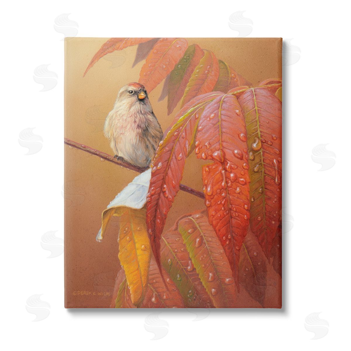 Derek Wicks Bird on Autumnal Branch Stretched Canvas Wall Art Print
