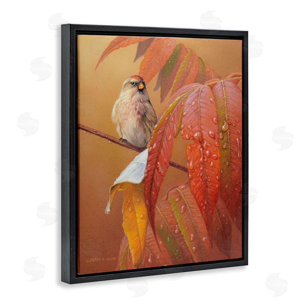 Derek Wicks Bird on Autumnal Branch Black Floating Frame Canvas Wall Art Print
