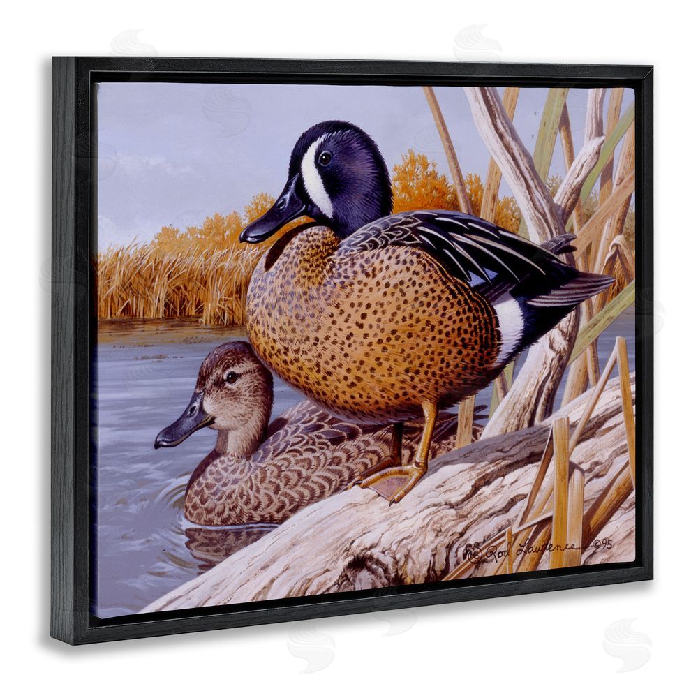 Rod Lawrence Ducks at Pond's Edge Black Floating Frame Canvas Wall Art Print