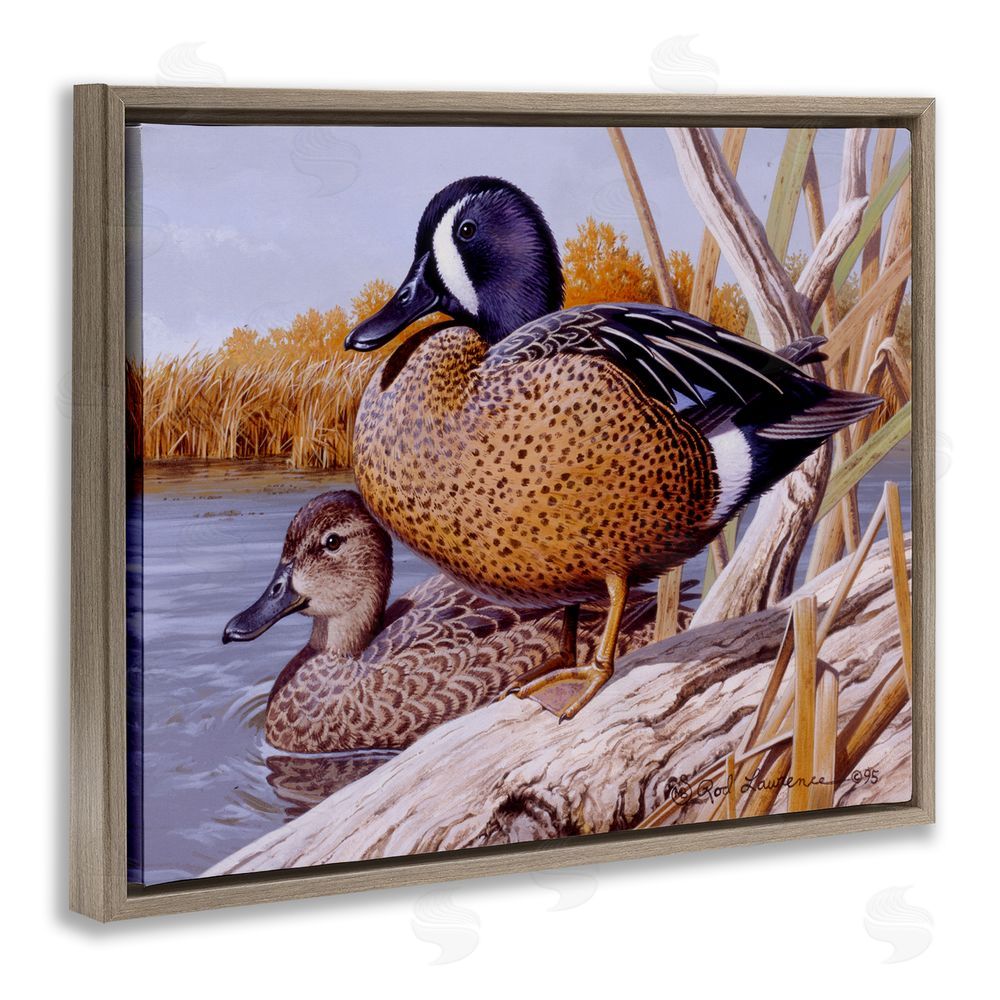 Rod Lawrence Ducks at Pond's Edge Brown Floating Frame Canvas Wall Art Print