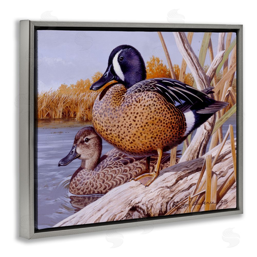 Rod Lawrence Ducks at Pond's Edge Grey Floating Frame Canvas Wall Art Print