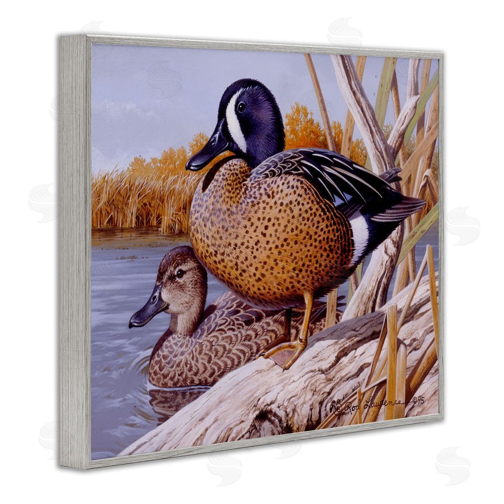 Rod Lawrence Ducks at Pond's Edge Gray Framed Giclee Wall Art Print