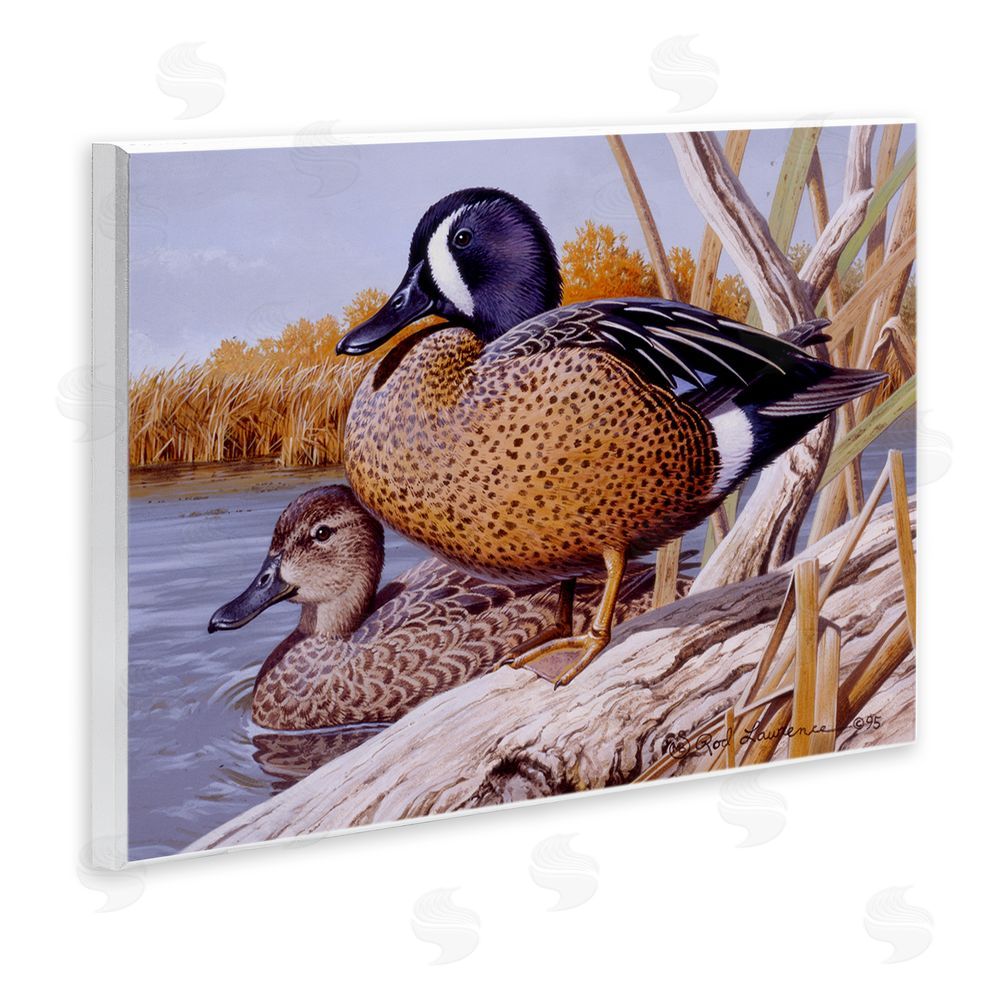 Rod Lawrence Ducks at Pond's Edge Wall Plaque Art Print