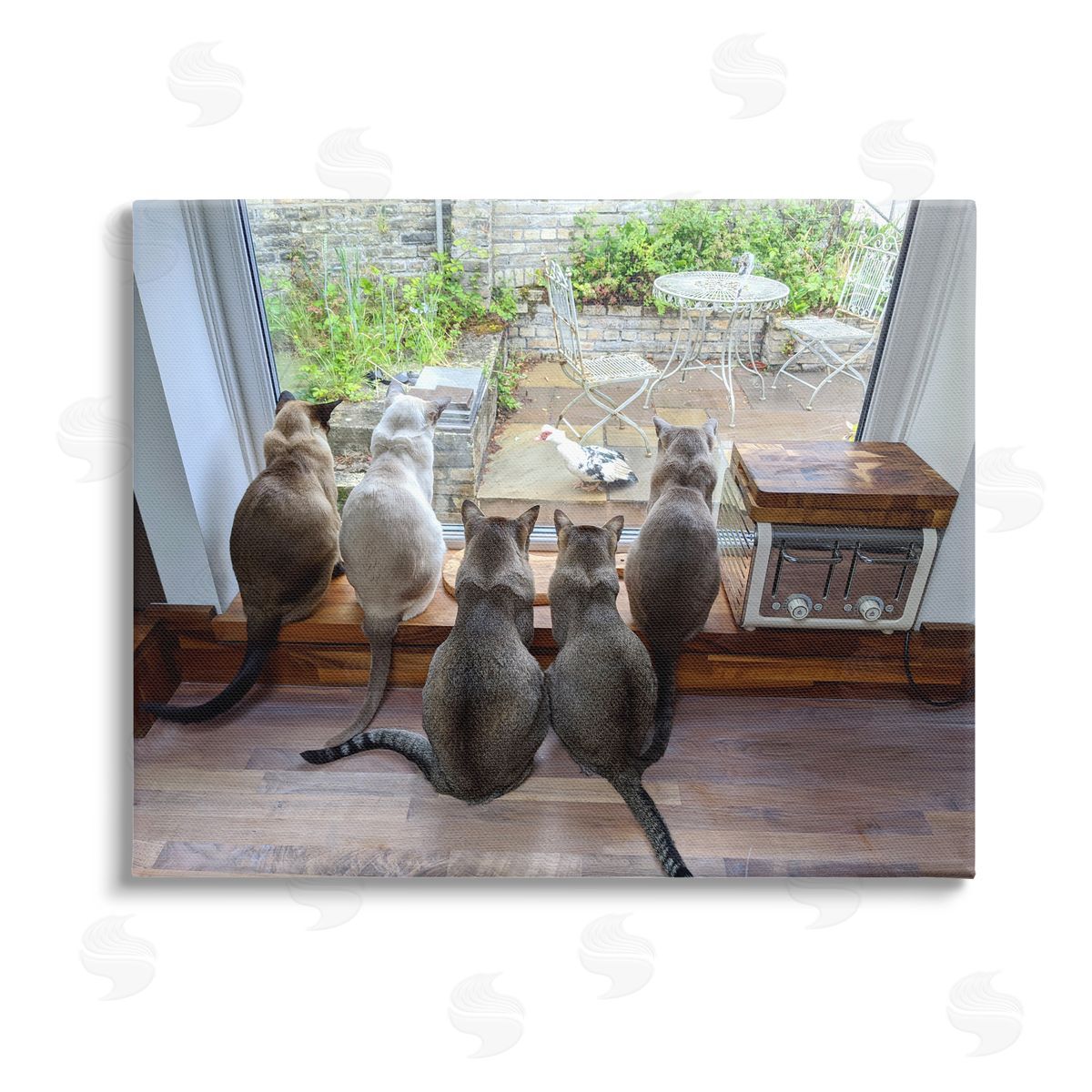 Beth Noble Cats Watching Bird at Window Stretched Canvas Wall Art Print