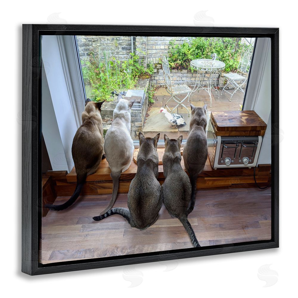 Beth Noble Cats Watching Bird at Window Black Floating Frame Canvas Wall Art Print