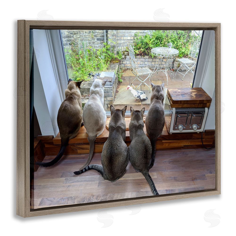 Beth Noble Cats Watching Bird at Window Brown Floating Frame Canvas Wall Art Print