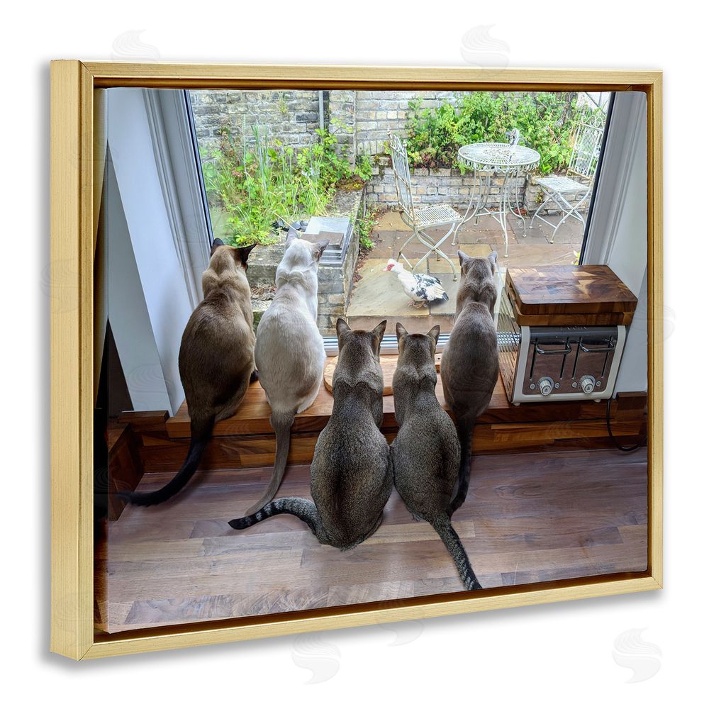 Beth Noble Cats Watching Bird at Window Gold Floating Frame Canvas Wall Art Print