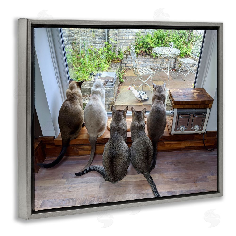 Beth Noble Cats Watching Bird at Window Grey Floating Frame Canvas Wall Art Print