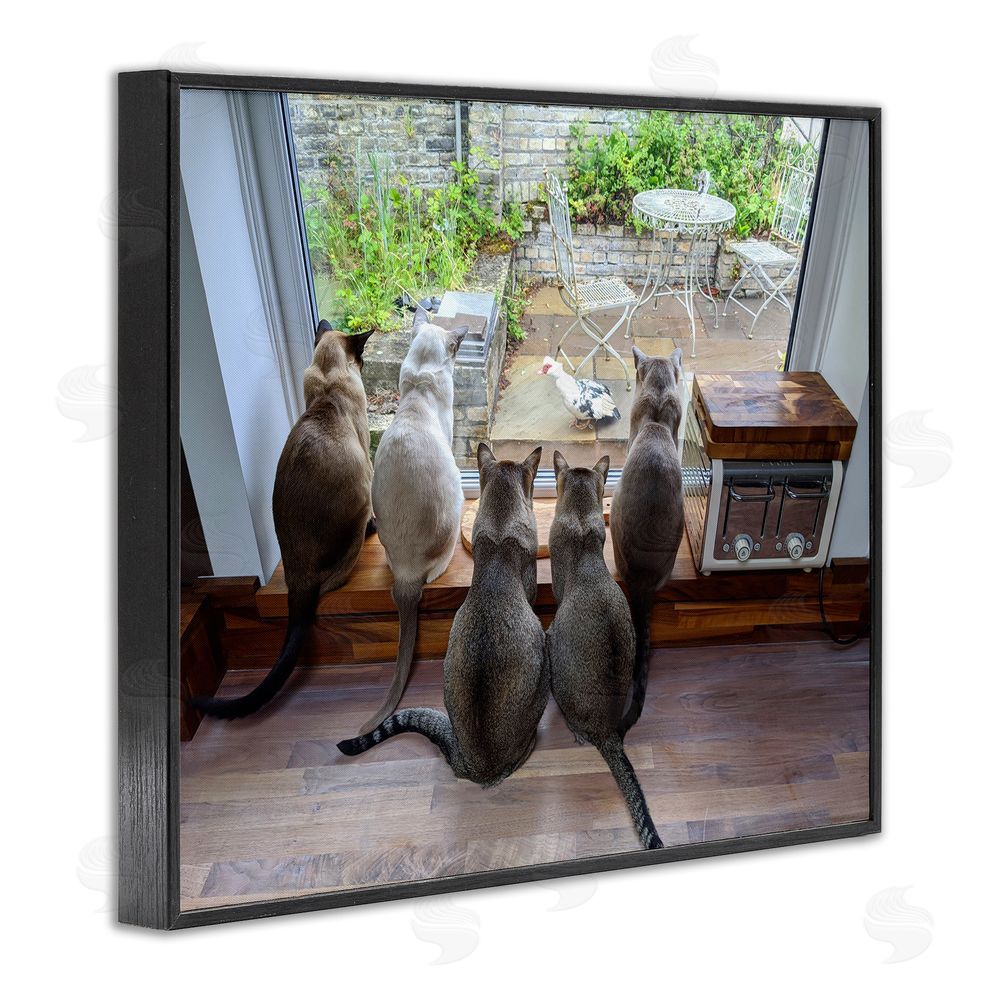 Beth Noble Cats Watching Bird at Window Black Framed Giclee Wall Art Print