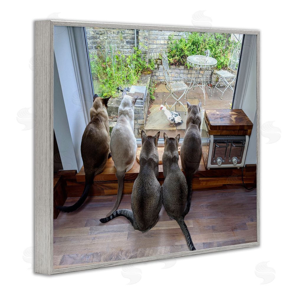 Beth Noble Cats Watching Bird at Window Gray Framed Giclee Wall Art Print