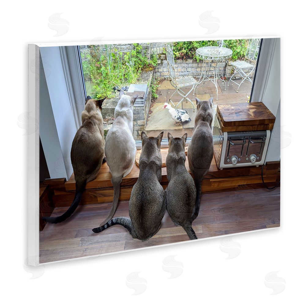 Beth Noble Cats Watching Bird at Window Wall Plaque Art Print