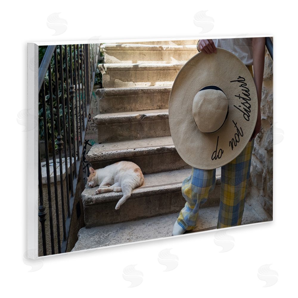 Tilman Wagner Do Not Disturb Cat Wall Plaque Art Print