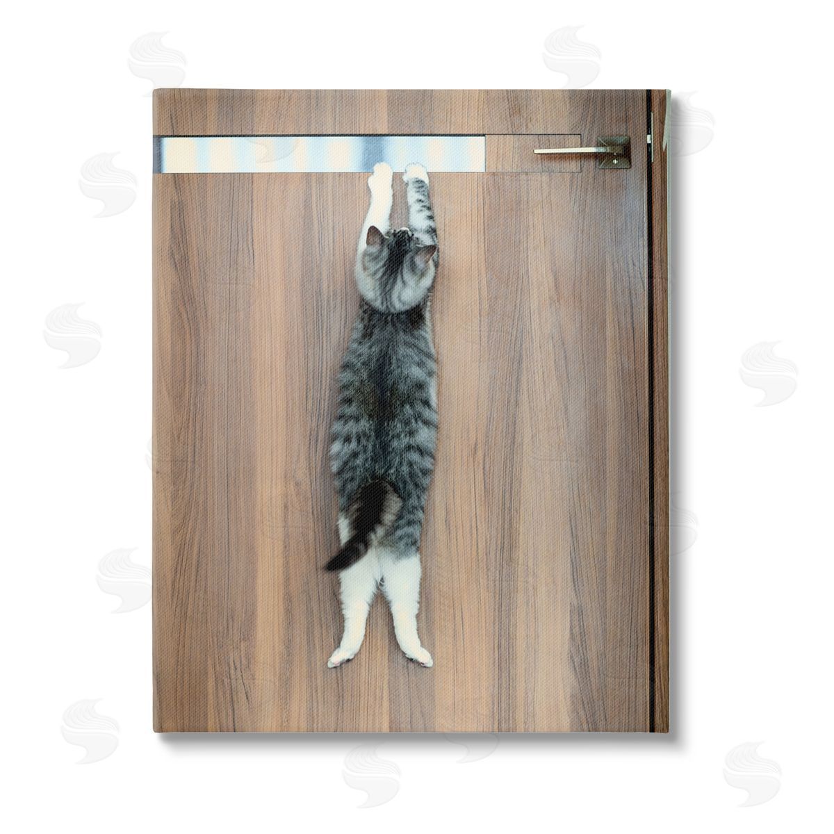 Kazutoshi Ono Desperate Cat Escaping Stretched Canvas Wall Art Print
