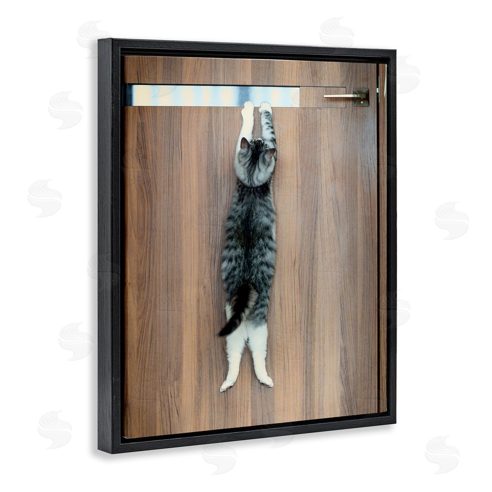 Kazutoshi Ono Desperate Cat Escaping Black Floating Frame Canvas Wall Art Print
