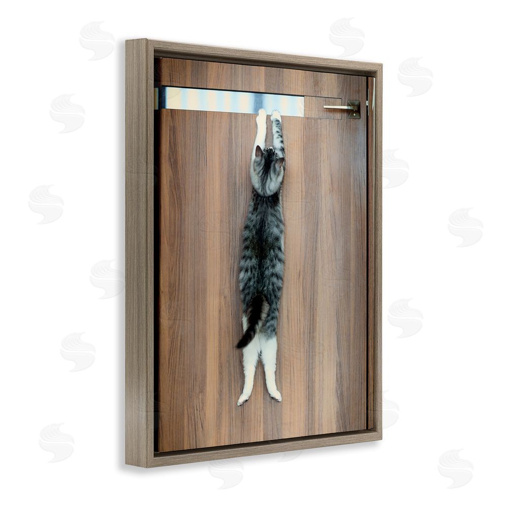 Kazutoshi Ono Desperate Cat Escaping Brown Floating Frame Canvas Wall Art Print