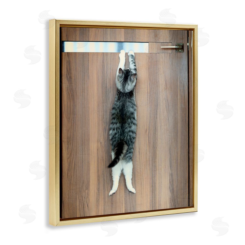 Kazutoshi Ono Desperate Cat Escaping Gold Floating Frame Canvas Wall Art Print