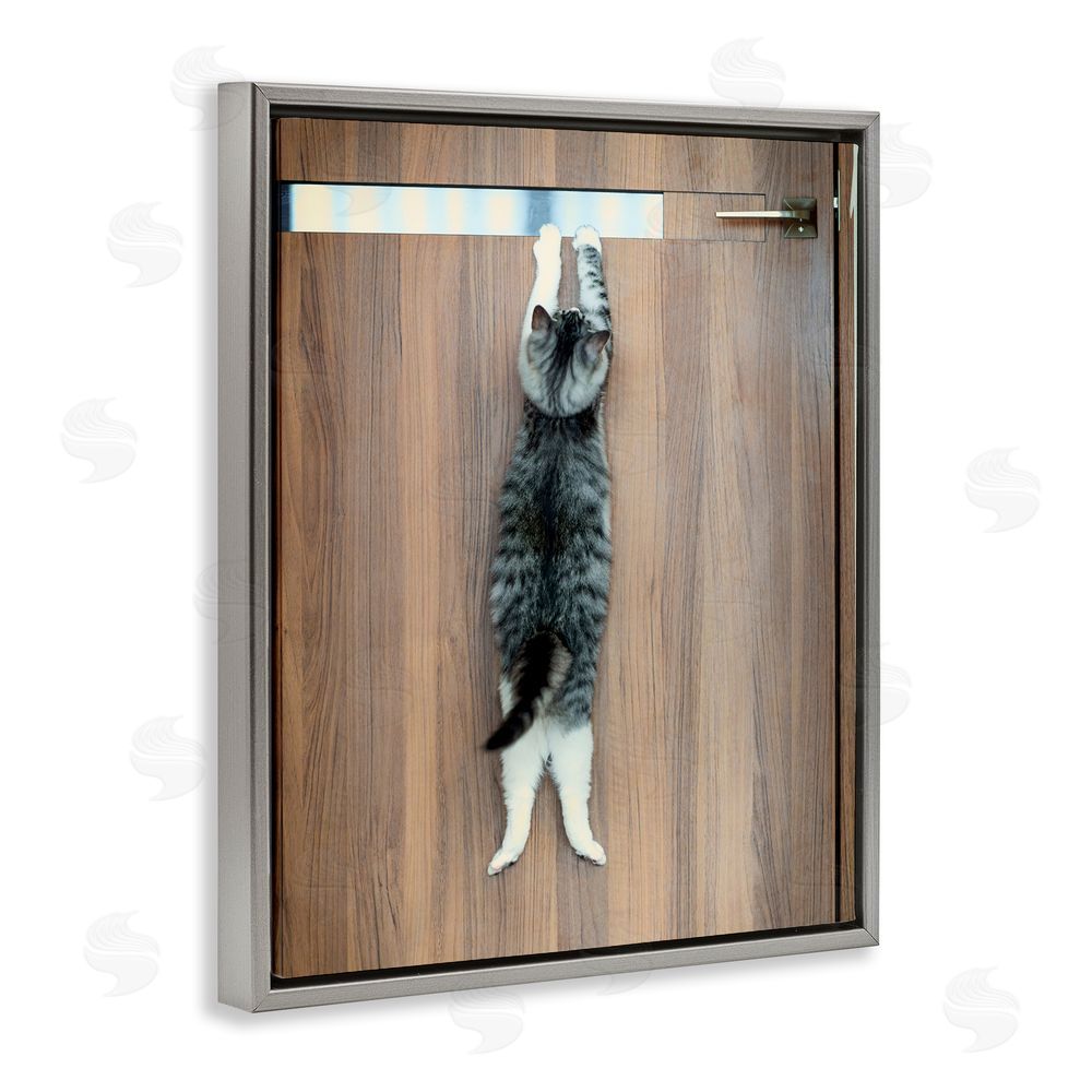 Kazutoshi Ono Desperate Cat Escaping Grey Floating Frame Canvas Wall Art Print