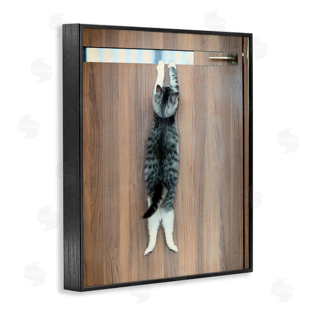 Kazutoshi Ono Desperate Cat Escaping Black Framed Giclee Wall Art Print