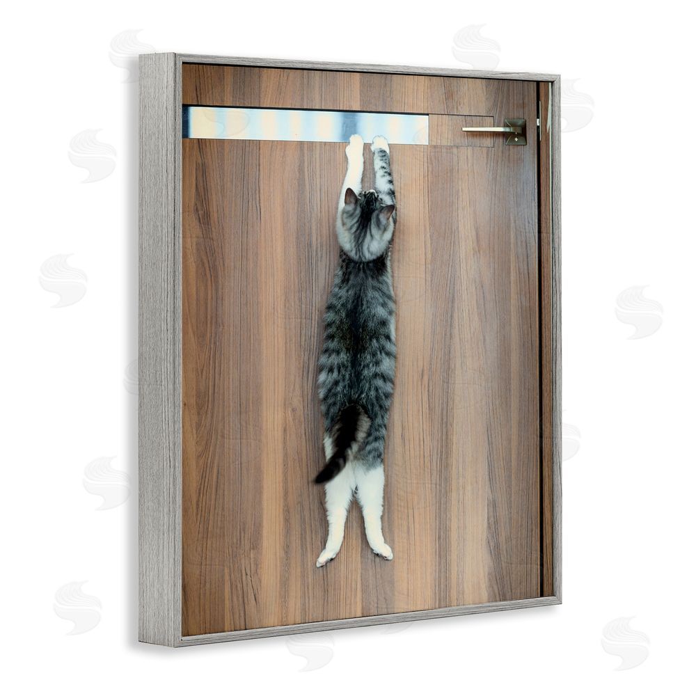 Kazutoshi Ono Desperate Cat Escaping Gray Framed Giclee Wall Art Print