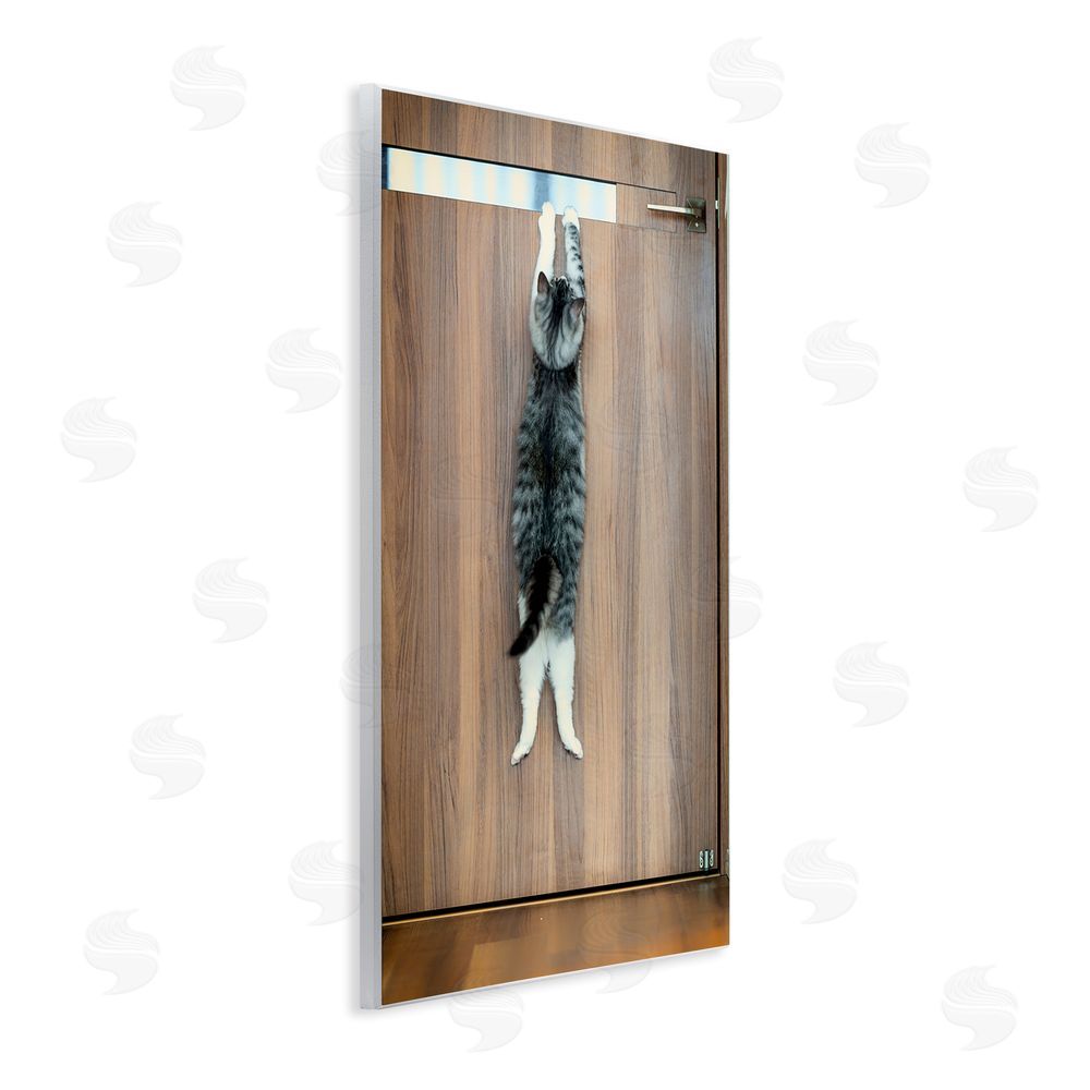 Kazutoshi Ono Desperate Cat Escaping Wall Plaque Art Print