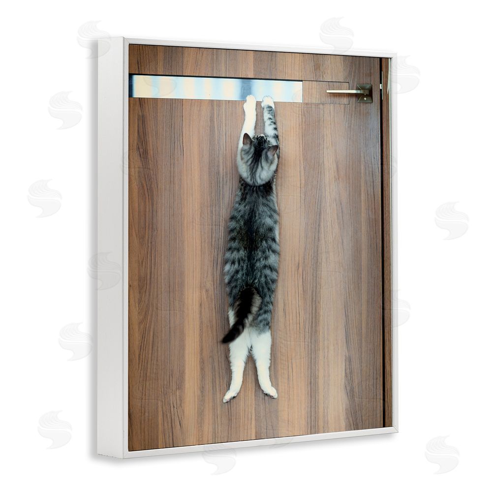 Kazutoshi Ono Desperate Cat Escaping White Framed Giclee Wall Art Print
