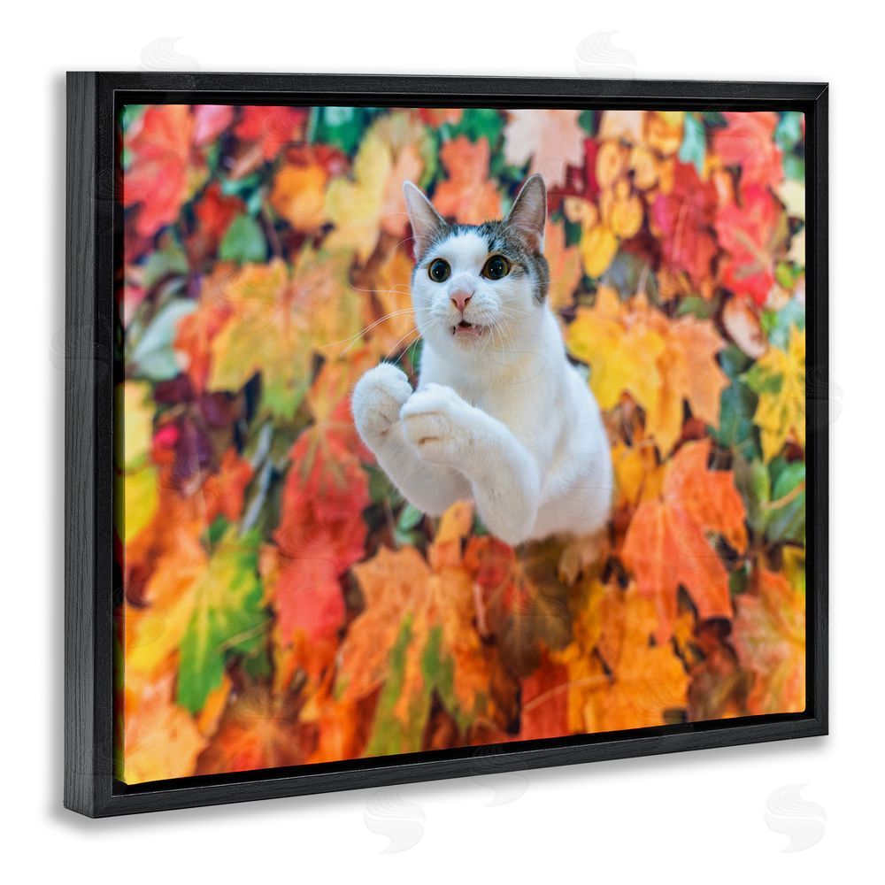 Kazutoshi Ono Cat in Autumn Leaf Pile Black Floating Frame Canvas Wall Art Print
