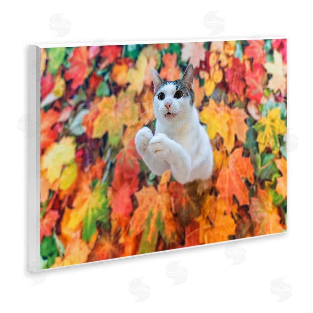 Kazutoshi Ono Cat in Autumn Leaf Pile Wall Plaque Art Print